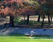 CHAPULTEPEC MEXICO DF 2012 13dfrtghy