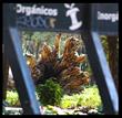 chapultepec mexico df 11000 deww